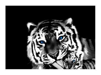Tigris a kölykével képe