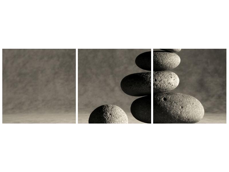 Šedý obraz kamenů (F000018F9030)