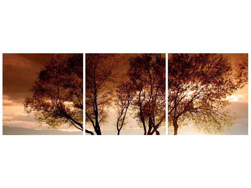 Obraz stromů (F000520F9030)