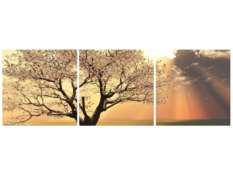 Obraz kvetoucího stromu (F002280F9030)