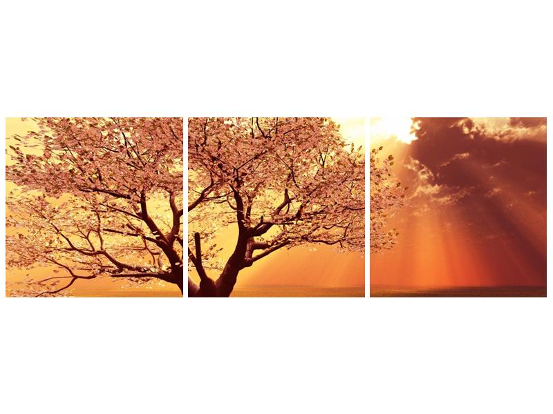 Obraz rozkvetlého stromu (F002282F9030)