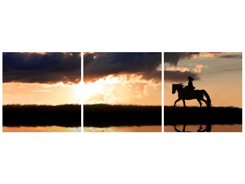 Obraz jezdce na koni při západu slunce  (F002717F9030)