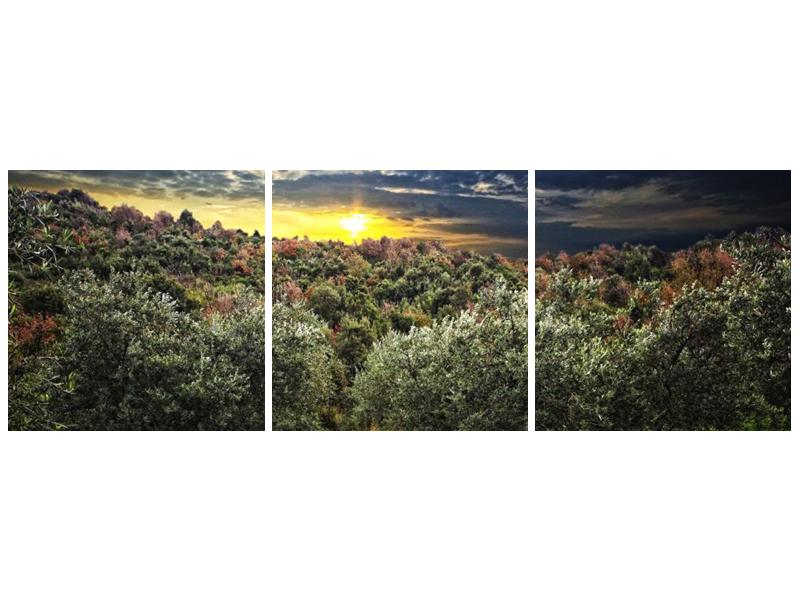 Obraz lesa za soumraku  (F002903F9030)