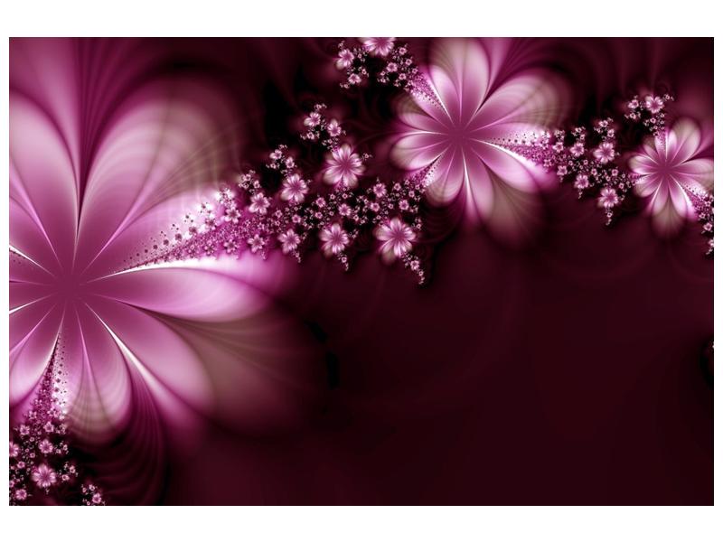 Moderní abstraktní obraz - květiny (F000408F9060)