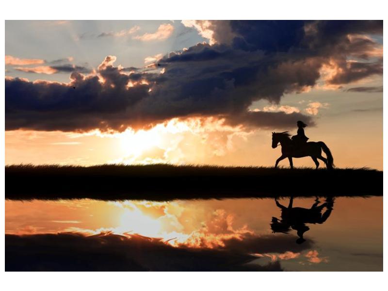 Obraz jezdce na koni při západu slunce  (F002717F9060)