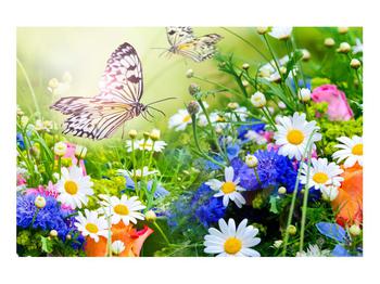 Obraz letných kvetov s motýľom (K012220K9060)