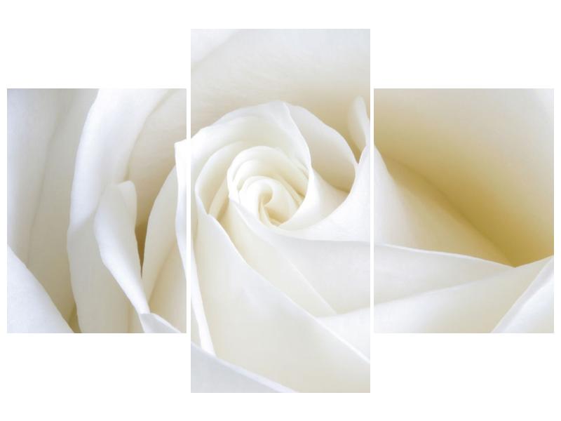 Obraz bílé růže (F000471F90603PCS)