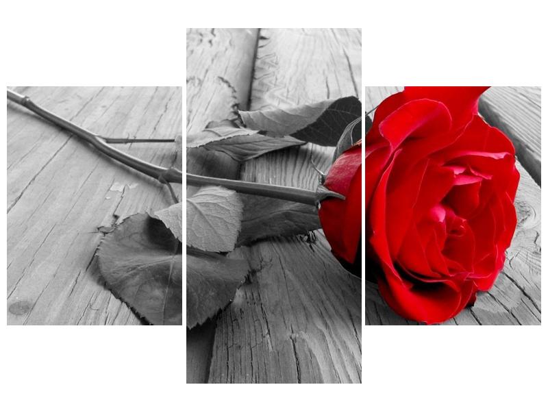 Obraz růže (F000484F90603PCS)