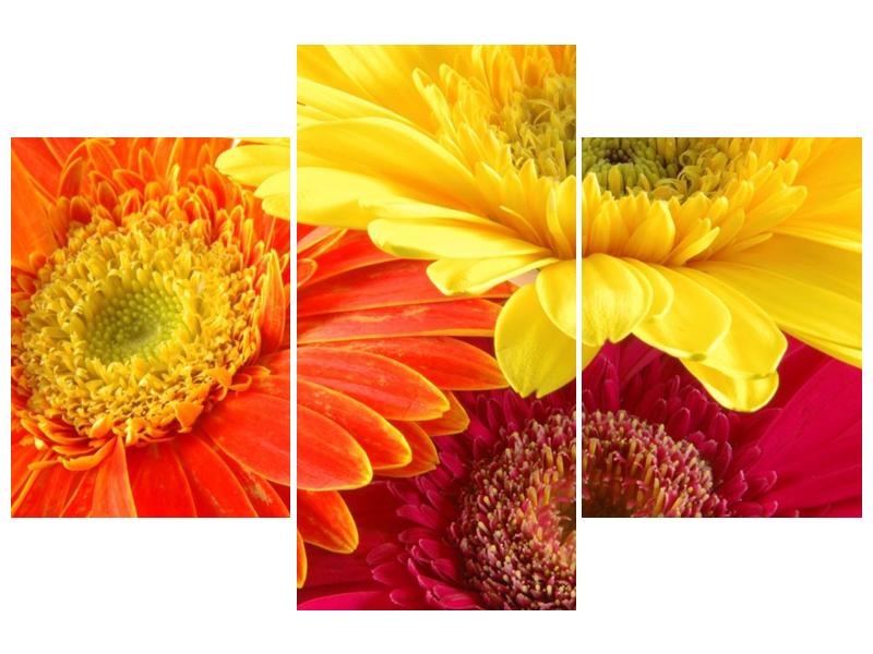 Obraz květin (F000514F90603PCS)