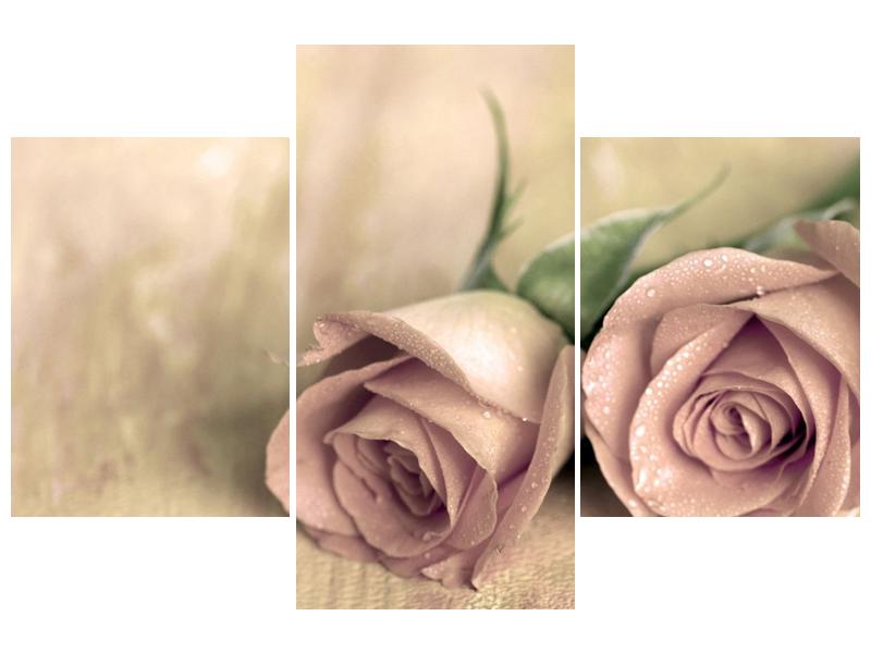 Obraz jemných růží (F001212F90603PCS)