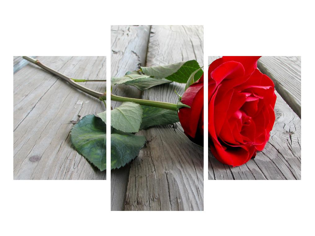 Tablou cu trandafir (K011113K90603PCS)