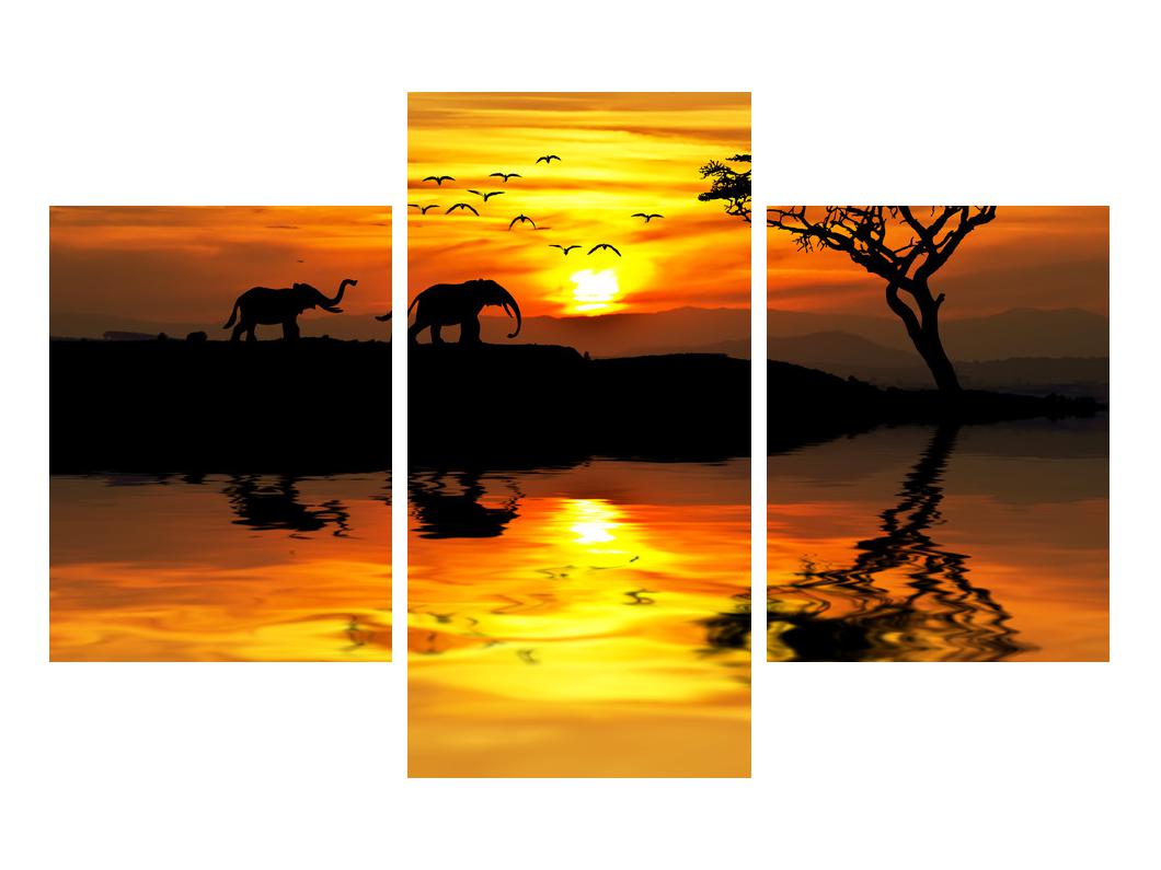 Slika afriške pokrajine s slonom