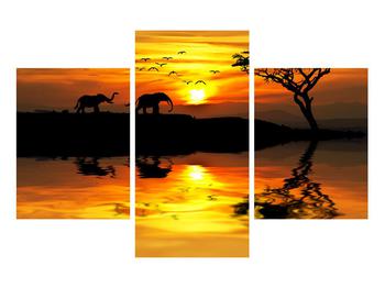 Obraz africké krajiny se slonem