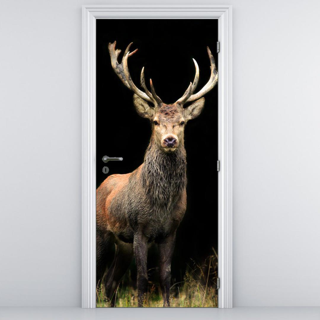Fototapeta na dveře - krásný jelen (D011368D95205)