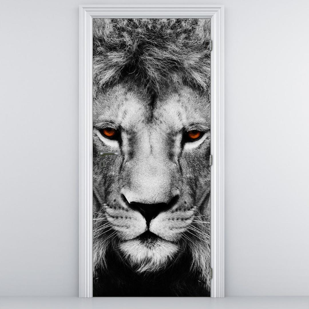 Fotótapéta ajtóra - oroszlán (D011390D95205)