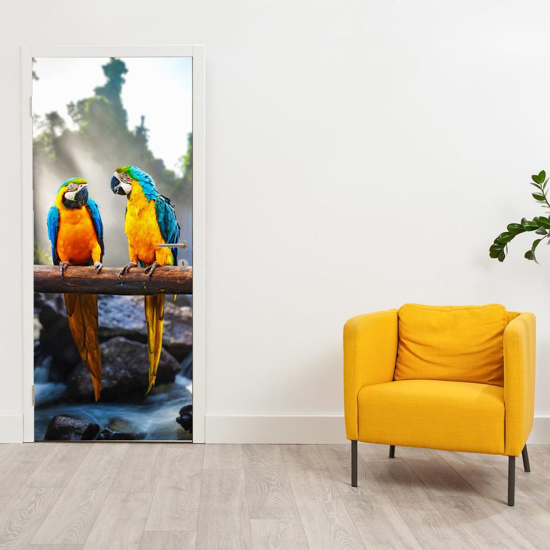 Fotótapéta ajtóra - Három papagáj (D011994D95205)