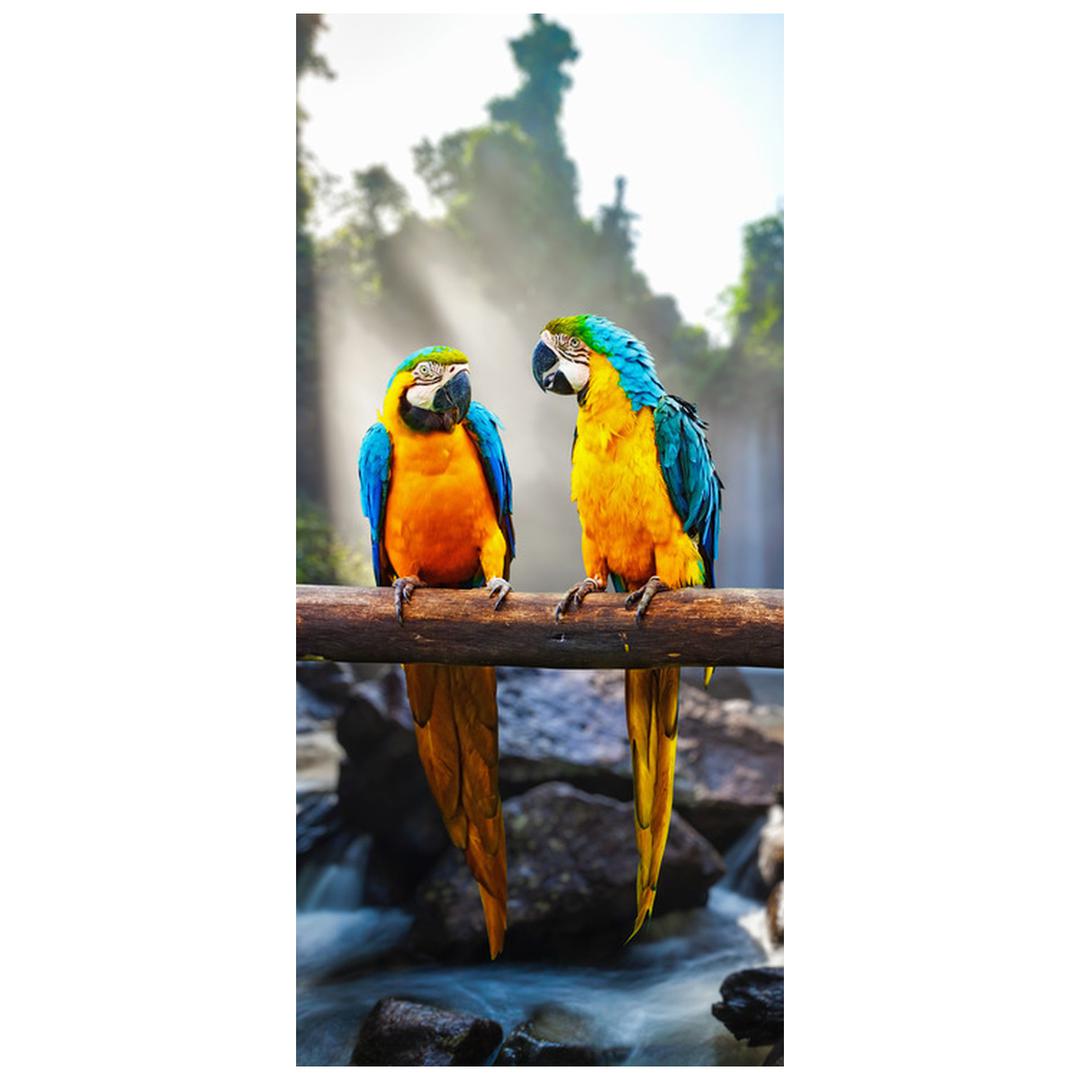 Fototapeta pentru ușă - trei papagali (D011994D95205)