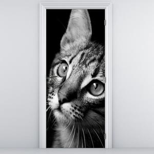 Foto tapeta za vrata - Mačka