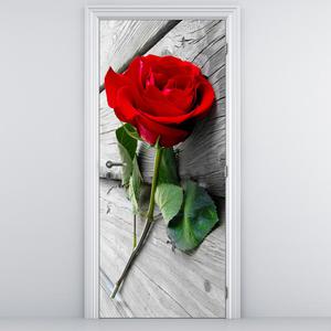 Foto tapeta na vratih - Rdeča vrtnica