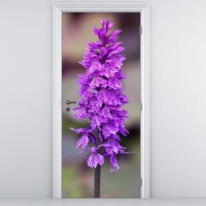 Foto tapeta za vrata - Orhideja