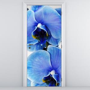 Foto tapeta na vratih - Moder cvet