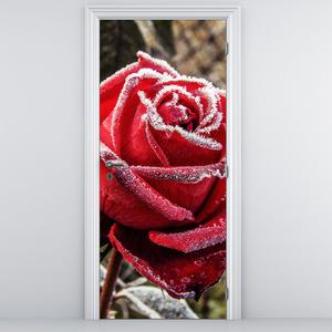 Foto tapeta na vratih - Zamrznjena rdeča vrtnica