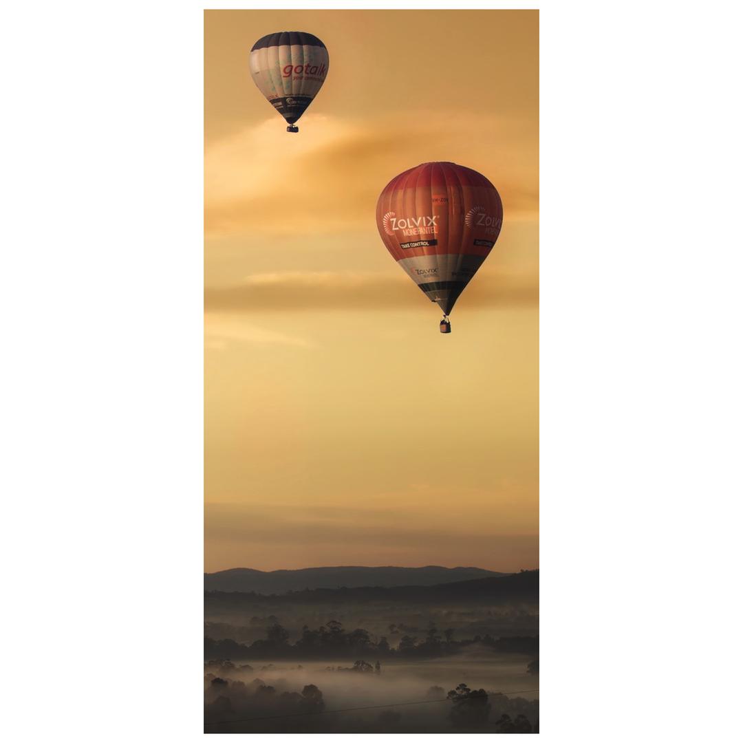 Fototapeta pentru ușă - baloane zburătoare (D014801D95205)