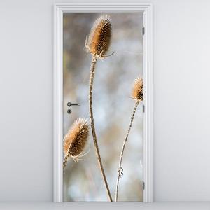 Fototapeta pentru ușă - flori de câmp uscate