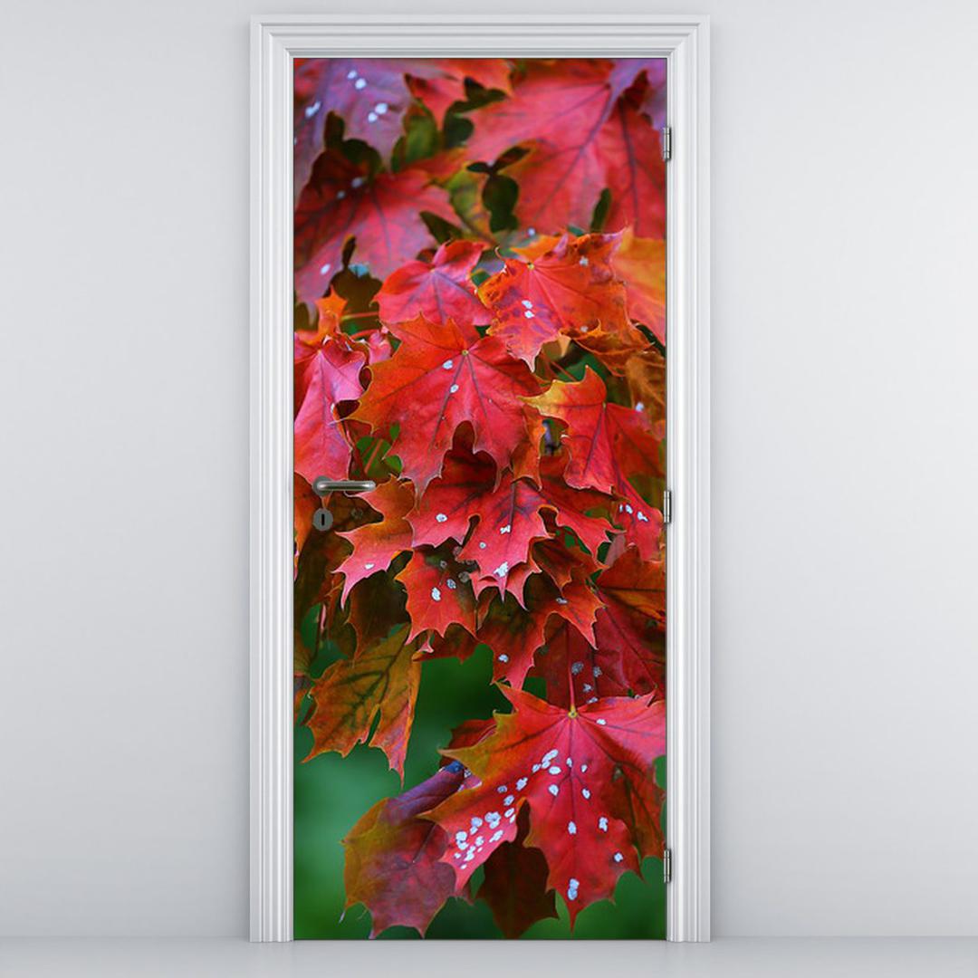 Fototapeta pentru ușă - frunze de toamnă (D014825D95205)
