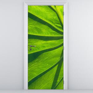 Fototapeta na dveře - zelené listy