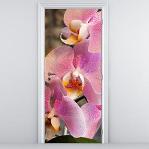 Fototapeta na dvere - orchidea