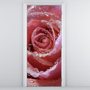Fototapeta na dvere - kvet ruže