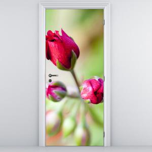 Fototapeta na dvere - kvet ruže