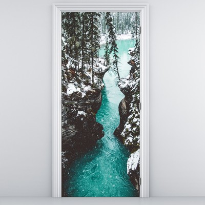 Fototapeta na drzwi - Górska rzeka zimą