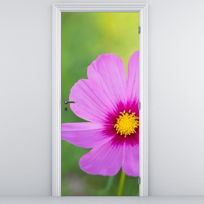Fototapeta na drzwi - Kwiat łąki