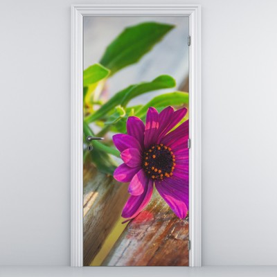 Fotótapéta ajtóra - Vágott virágok