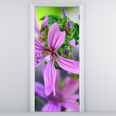 Fototapeta na drzwi - Szczegółowy obraz kwiatu