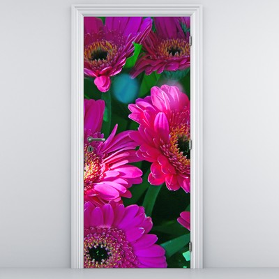 Fototapeta na drzwi - Kwiaty