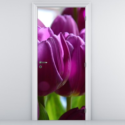 Fototapeta na drzwi - Tulipany