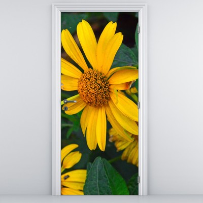 Fotótapéta ajtóra - Sárga virágok