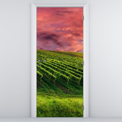 Fototapeta na dveře - Vinohrad s barevným nebem