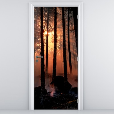 Fototapeta na drzwi - Ciemny las