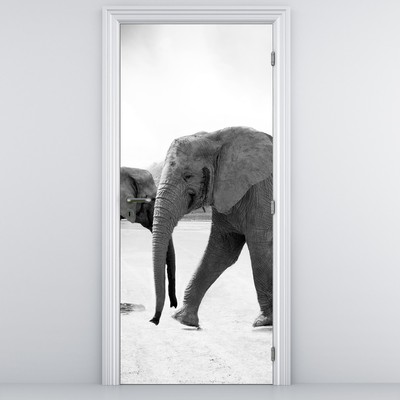 Fototapet pentru ușă - Elefanți alb negru