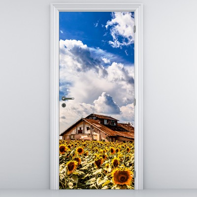Fototapeta na dveře - Slunečnicové pole