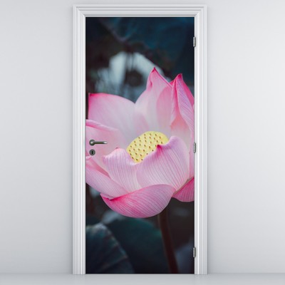 Fototapeta na drzwi - Różowe kwiaty