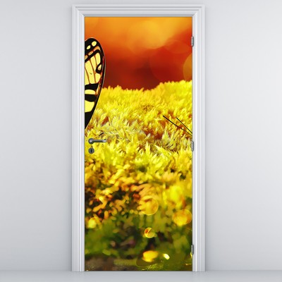 Fototapeta na drzwi - Motyle