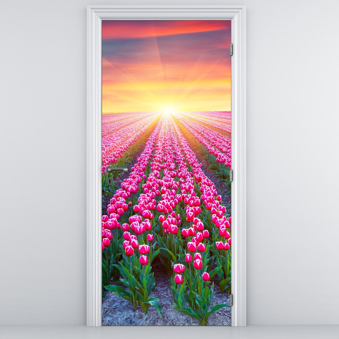 Fototapeta na drzwi - Pole tulipanów ze słońcem (D020554D95205)