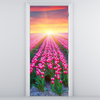 Fototapeta na drzwi - Pole tulipanów ze słońcem