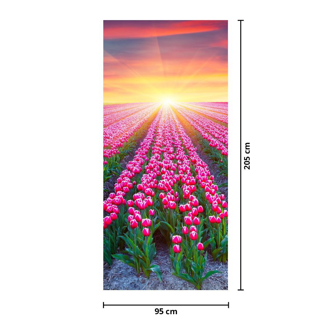 Fototapeta na drzwi - Pole tulipanów ze słońcem (D020554D95205)
