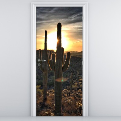 Fotótapéta ajtóra - Kaktuszok a napon